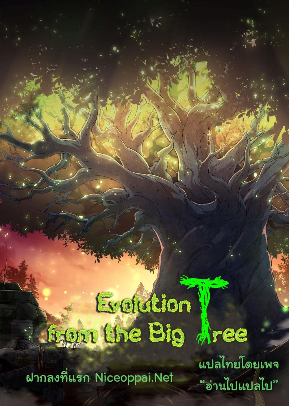 Evolution from the Big Tree Ã Â¸â€¢Ã Â¸Â­Ã Â¸â„¢Ã Â¸â€”Ã Â¸ÂµÃ Â¹Ë† 33 (1)